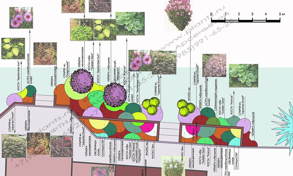 Проект участка - план цветников